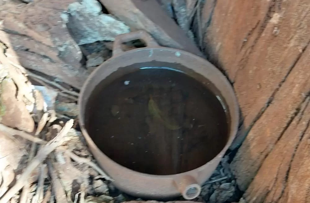 Foto