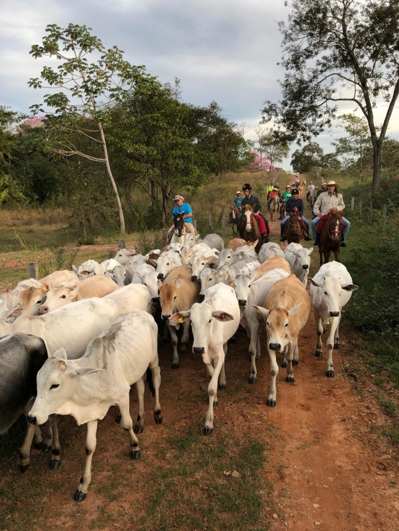 Pantanal Experiencia