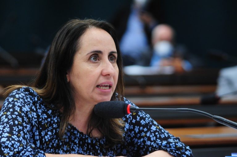 Adriana Ventura é relatora de proposta sobre o assunto - (Foto: Billy Boss/Câmara dos Deputados)