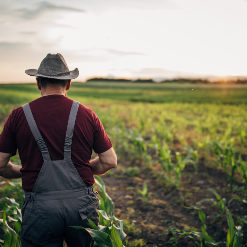 Produtor rural