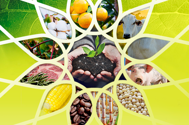Divulgação Brasil Agribusiness
