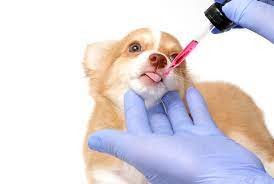 Manipulados para Pets