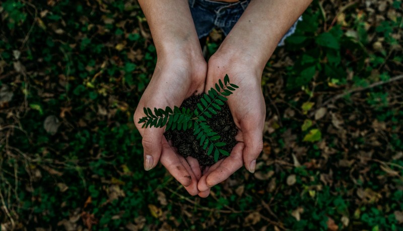 Unsplash