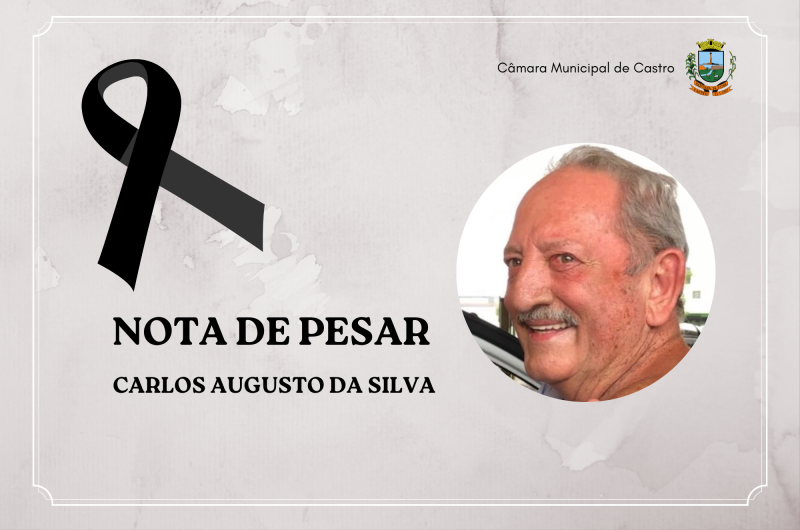 Foto: Reprodução/Câmara Municipal de Castro - PR