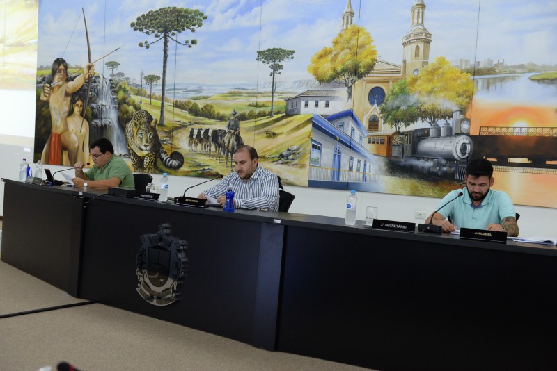 Foto: Reprodução/Câmara Municipal de Castro - PR