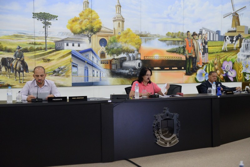 Foto: Reprodução/Câmara Municipal de Castro - PR