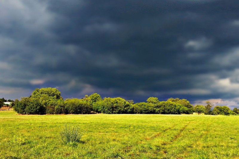 Foto: IDR-PARANÁ