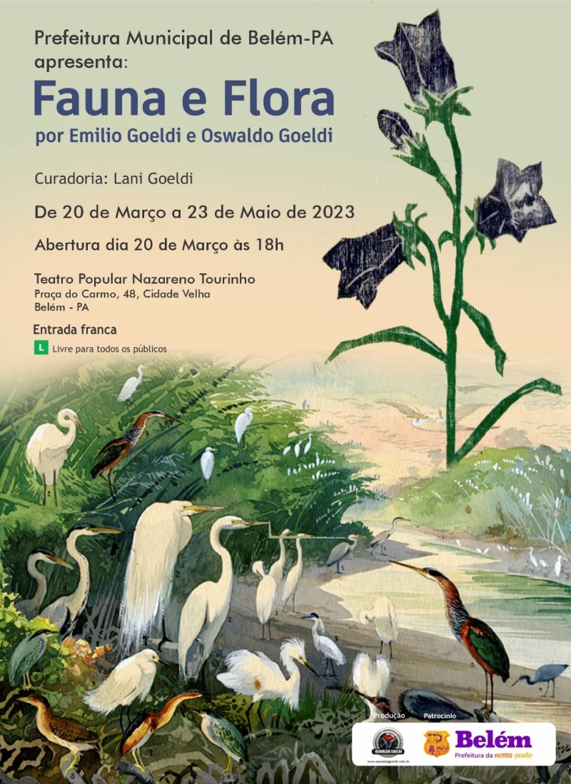 divulgação Projeto Goeldi