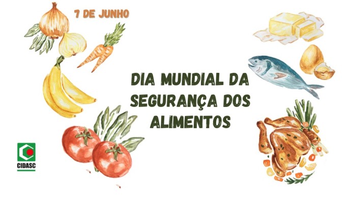 Foto: Reprodução/Secom SC