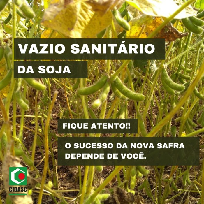 Foto: Reprodução/Secom SC