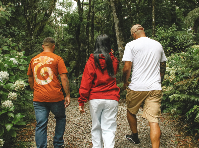 Acervo Kayland