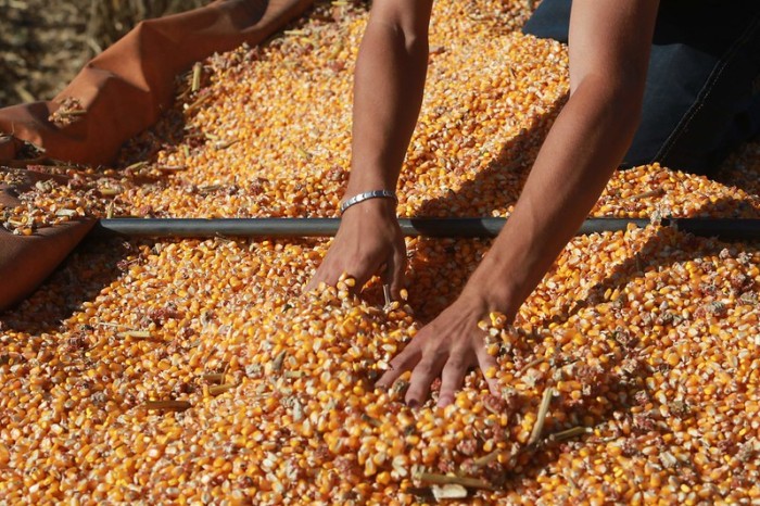 Foto: Reprodução/Secom SC