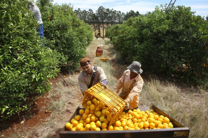 Foto: Reprodução/Secom Paraná