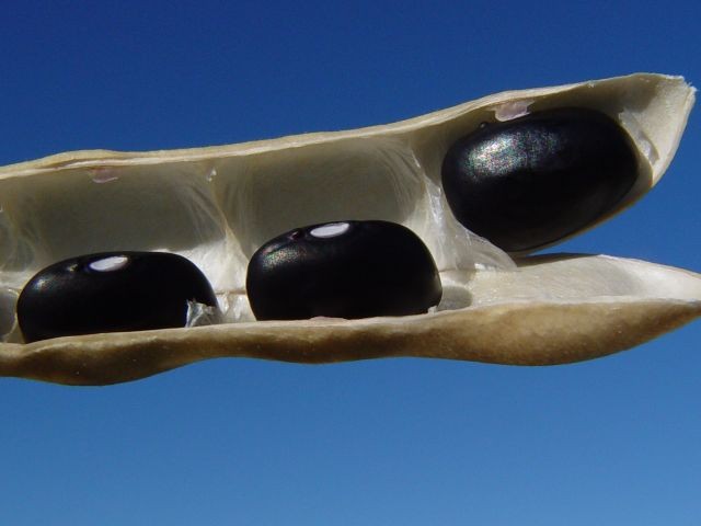 Foto: Reprodução/Secom SC