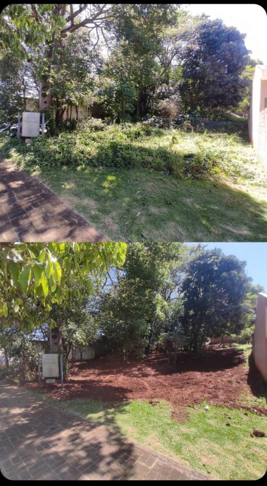 Antes e Depois Bosque dos Pioneiros