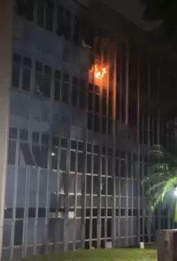 Reprodução Internet